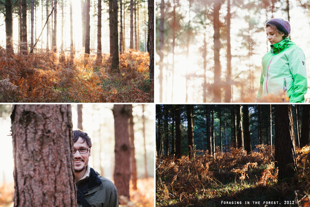 Foraging, the new forest
