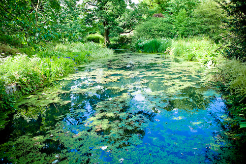 Lake, Stunning Dorset Wedding Venue Lake, Stunning Dorset Wedding Venue