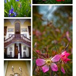 Chettle House, Wedding Venue