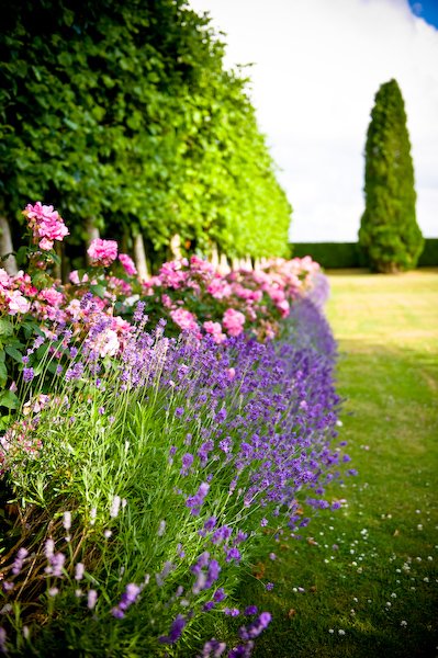 Formal Gardens, Sturminster Newton Manor House Formal Gardens, Sturminster Newton Manor House