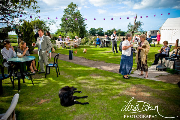 Somerset Wedding Reception