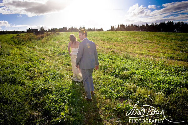 Relaxed shots, Somerset fields