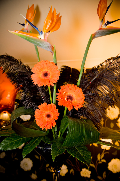 Exotic Floral Decorations