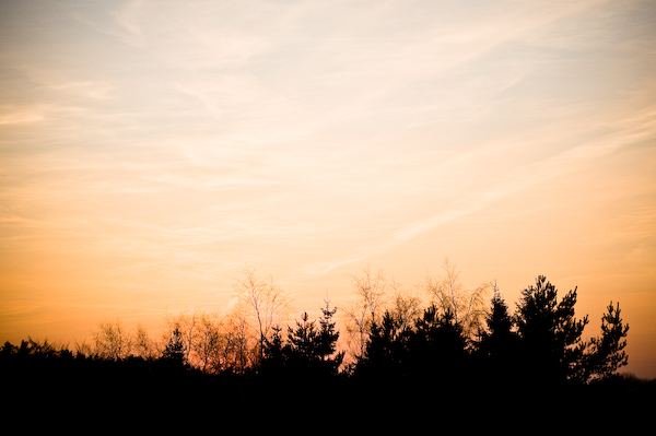 Sunset Sunset