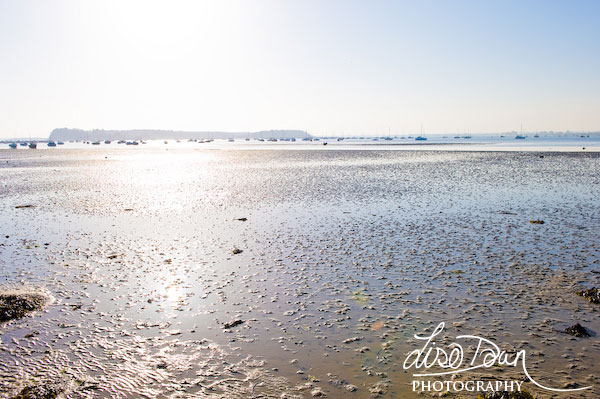 Brownsea Island from Evening Hill