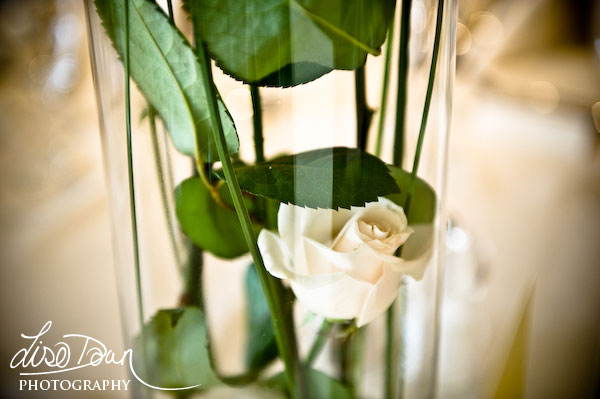 Rose Centre pieces