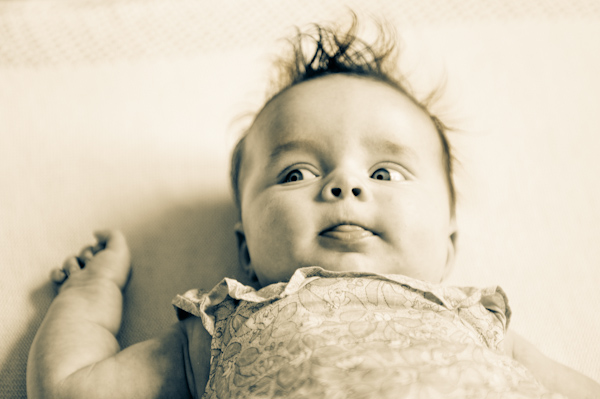 Baby Harriet