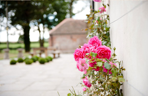 Larmer Tree Garden Wedding Photographer