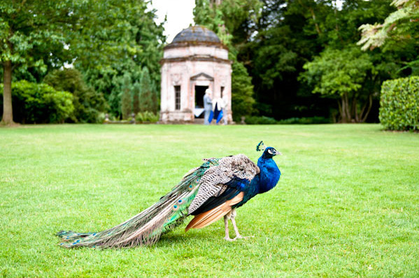 Larmer Tree Garden Wedding Photographer