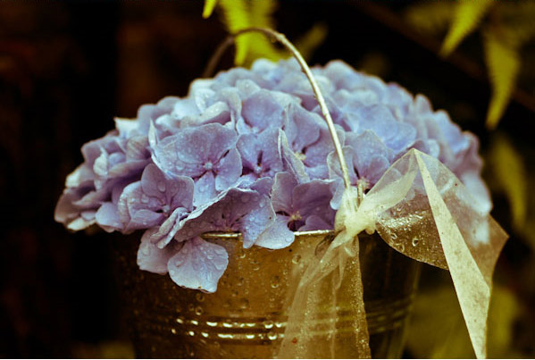 Larmer Tree Garden Wedding Photographer