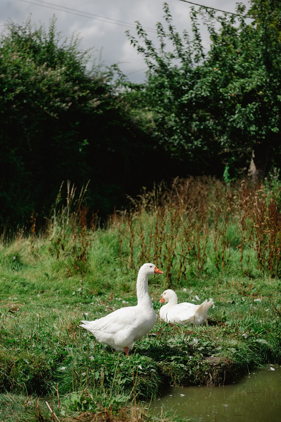 Somerset Wedding Photography,Frome Wedding Photographer